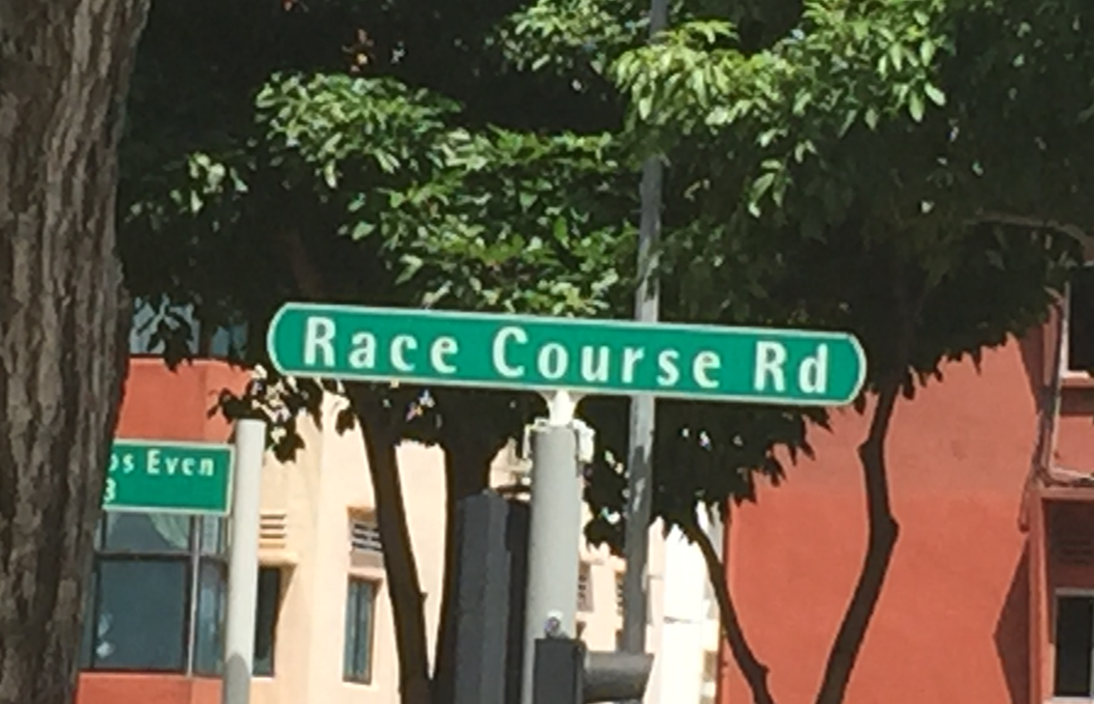 Race Course Road (Generic road name)